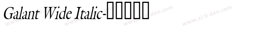 Galant Wide Italic字体转换